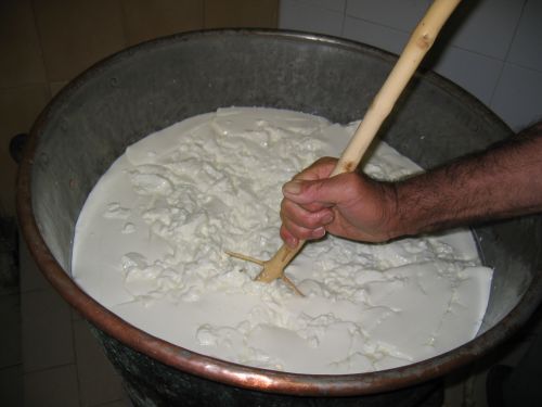 scuola di formaggio-9.JPG